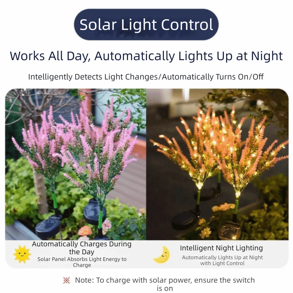 Purple LED Solar Lavender Ligh - đánh giá và giá Outdoor Lighting Unit