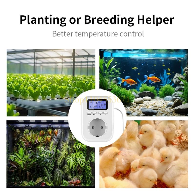 Ổ cắm hẹn giờ Wifi thông minh  - đánh giá và giá Outdoor Lighting No Outlet
